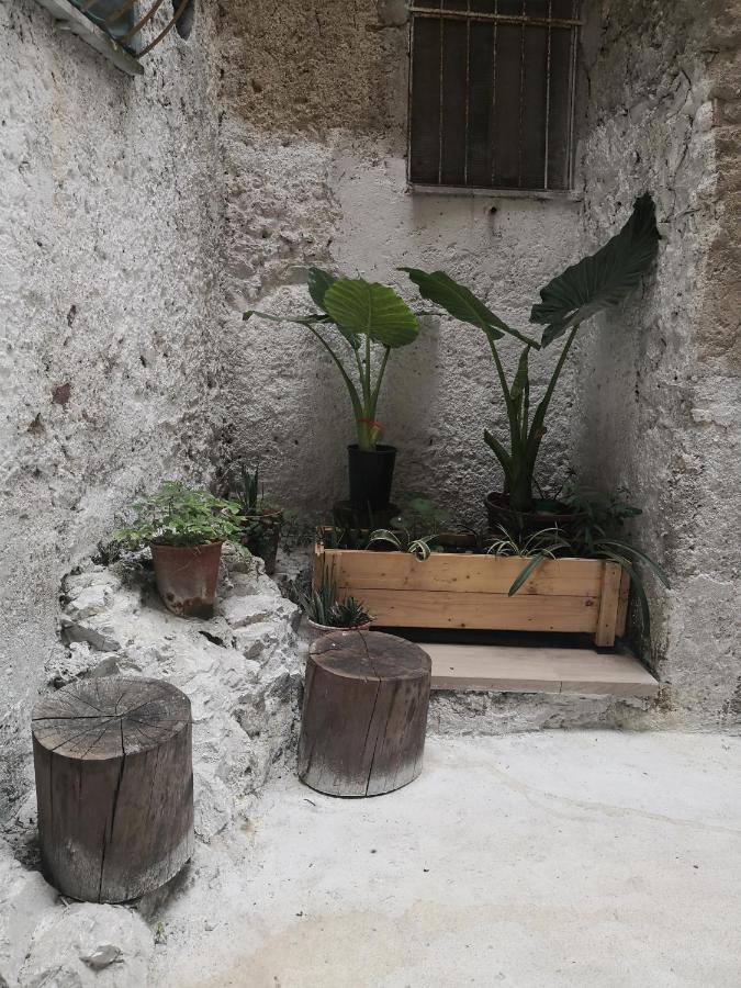 Casa Vacanze B&B Ondes Camerota Eksteriør billede